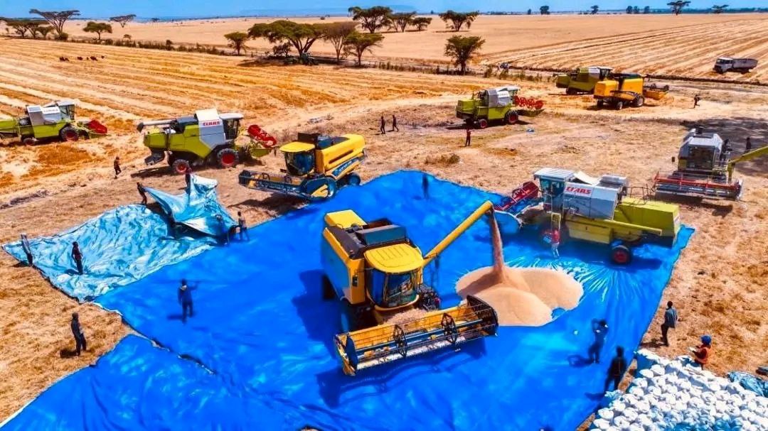 photo 2026 03 08 20 09 43 (2)