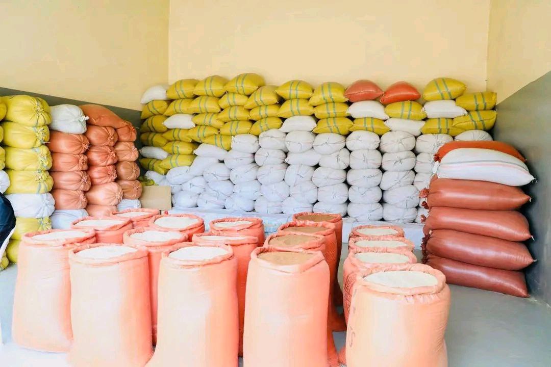 photo 2026 03 08 20 11 11