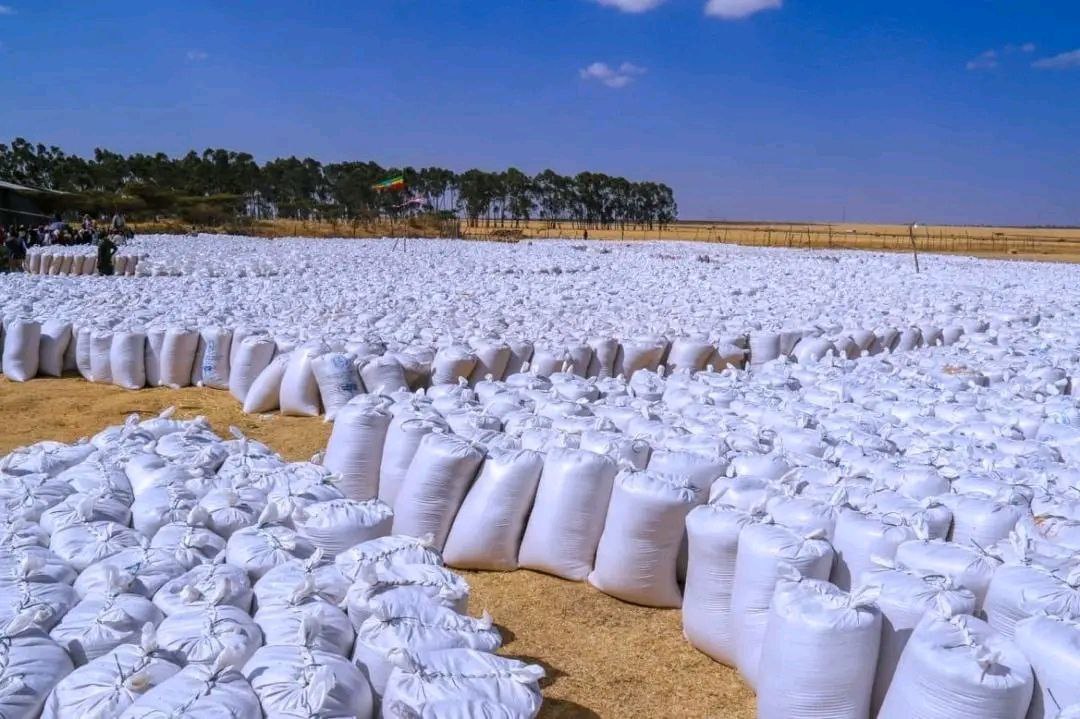 photo 2026 03 08 20 11 20 (2)