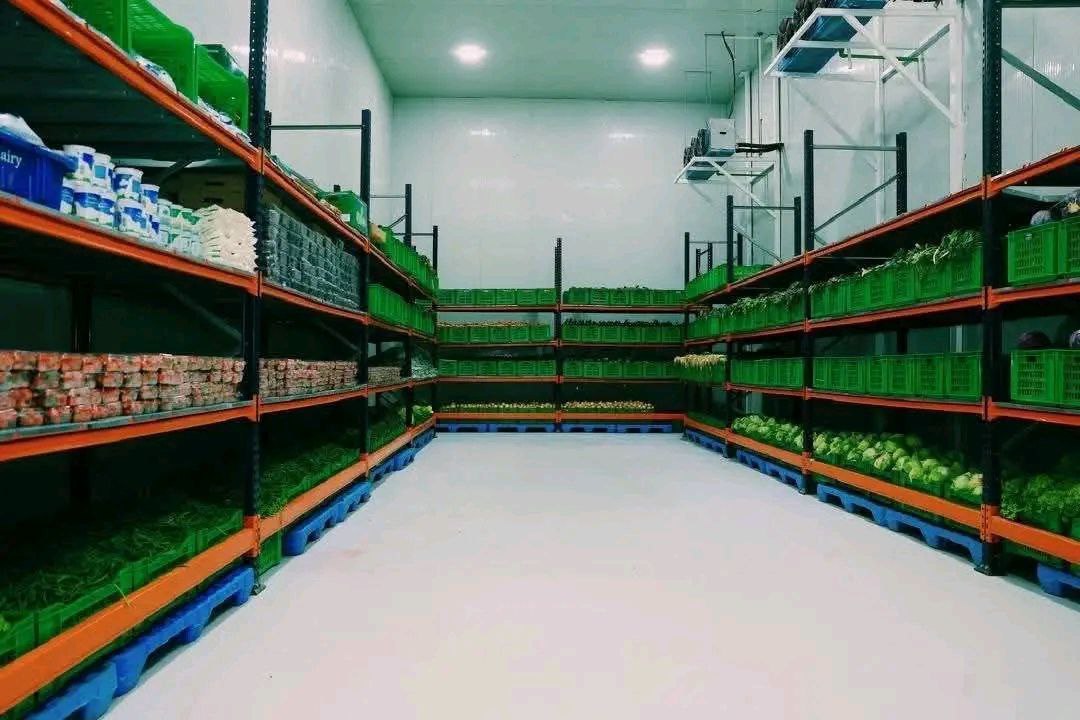 photo 2026 03 08 20 11 21